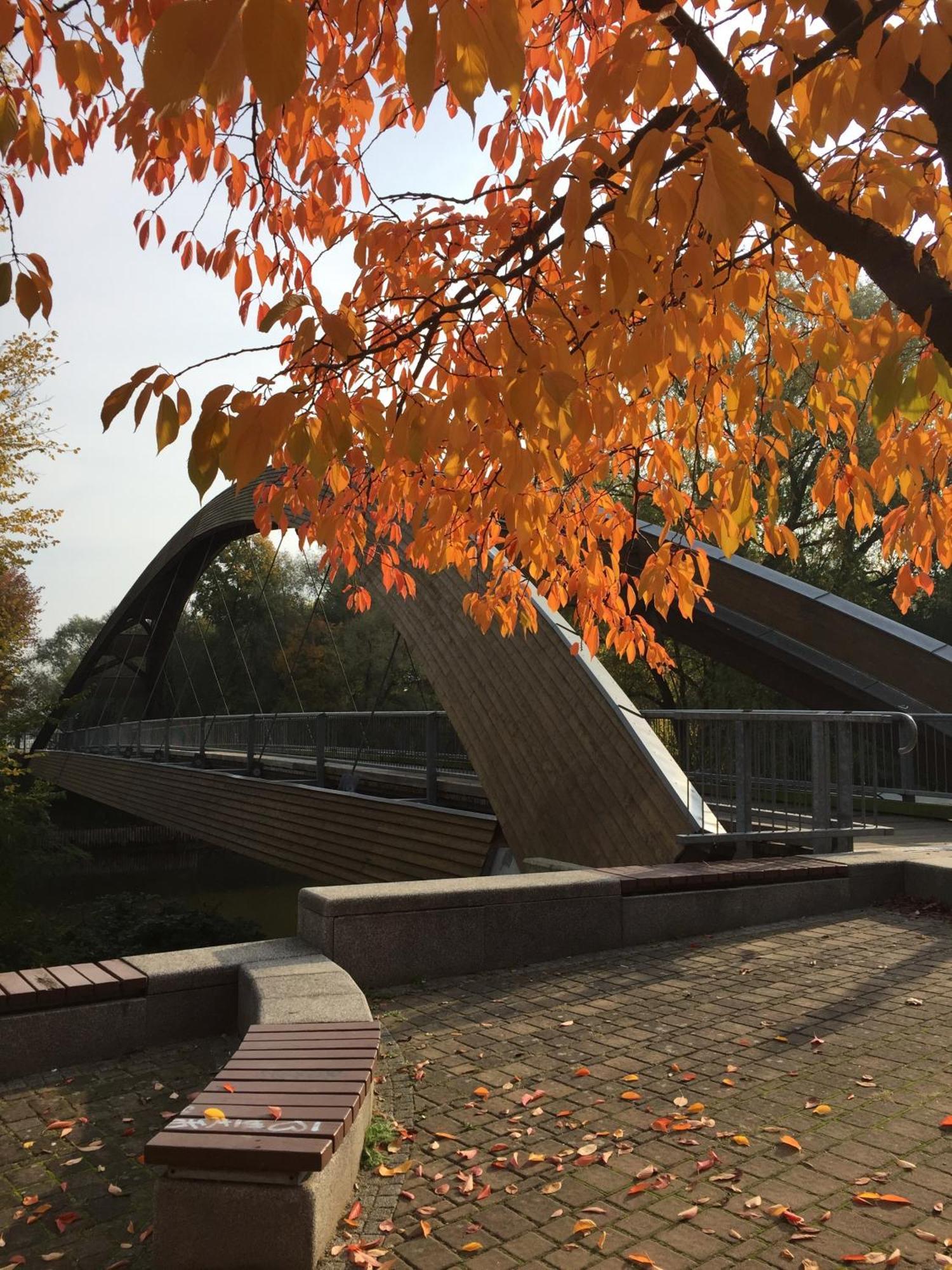 Viadrina Rooms & Apartments Frankfurt-Oder Am Park Im Zentrum Frankfurt  Eksteriør bilde