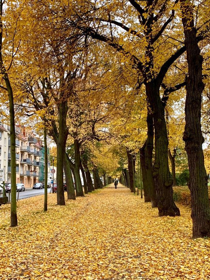 Viadrina Rooms & Apartments Frankfurt-Oder Am Park Im Zentrum Frankfurt  Eksteriør bilde